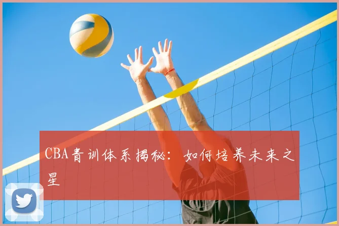 CBA青训体系揭秘:如何培养未来之星