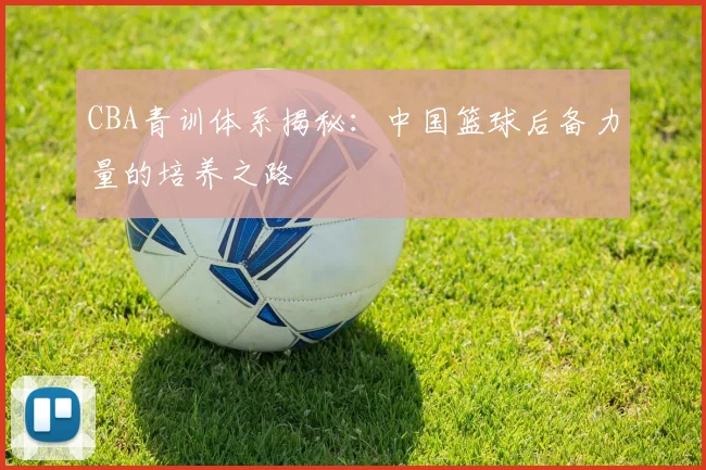 CBA青训体系揭秘:中国篮球后备力量的培养之路