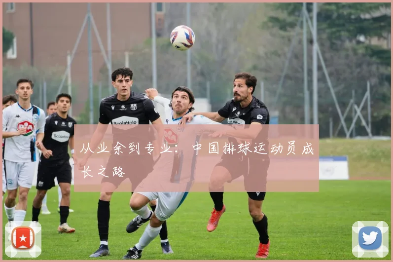 从业余到专业:中国排球运动员成长之路